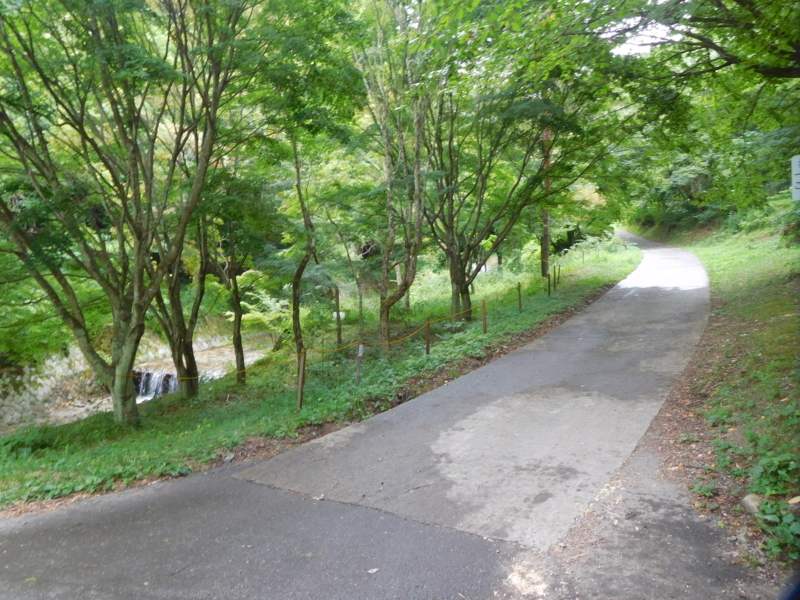 f:id:henrilesidaner:20190414131824j:plain f:id:henrilesidaner:20190414131824j:plain