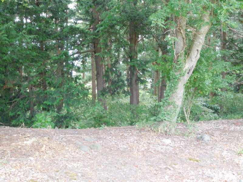 f:id:henrilesidaner:20190422121610j:plain