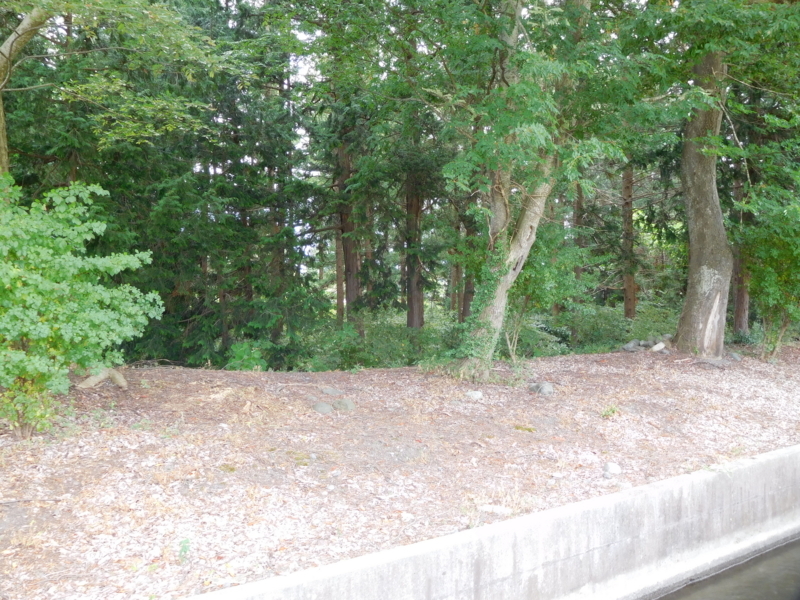 f:id:henrilesidaner:20190422121616j:plain