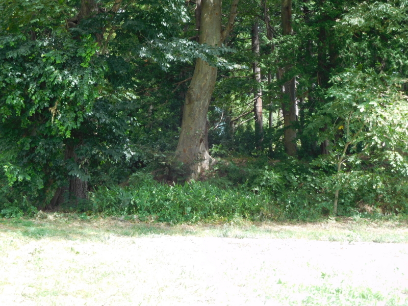 f:id:henrilesidaner:20190422122049j:plain