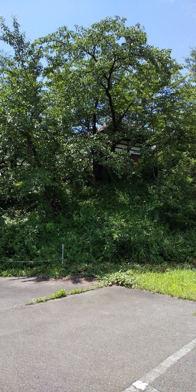 f:id:henrilesidaner:20190728111805j:plain