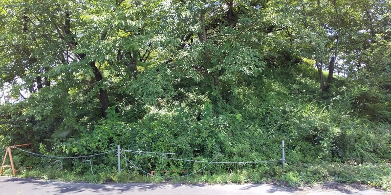 f:id:henrilesidaner:20190728111822j:plain