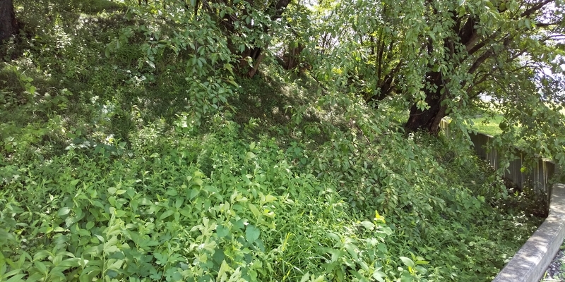 f:id:henrilesidaner:20190728112426j:plain
