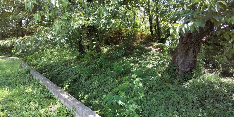 f:id:henrilesidaner:20190728112520j:plain
