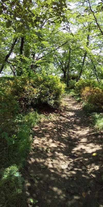 f:id:henrilesidaner:20190728112655j:plain