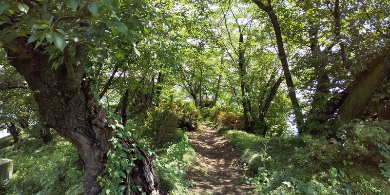f:id:henrilesidaner:20190728113056j:plain