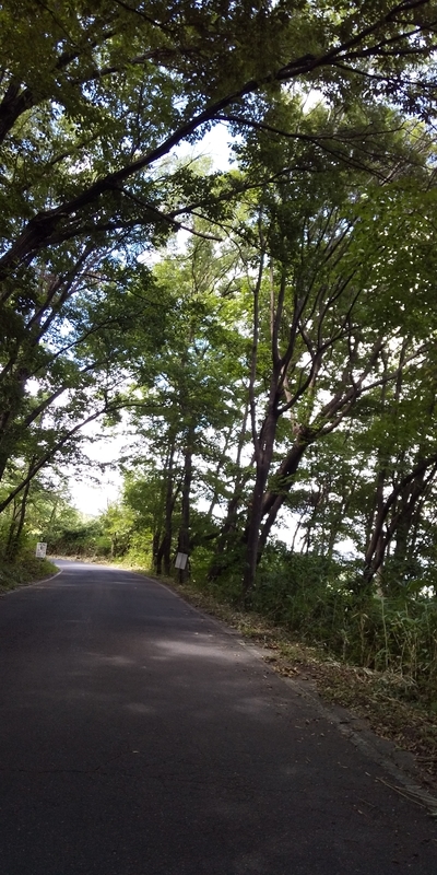 f:id:henrilesidaner:20190814135616j:plain