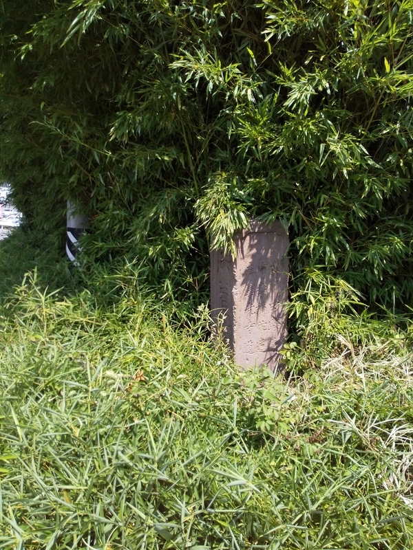 f:id:henrilesidaner:20190818115209j:plain