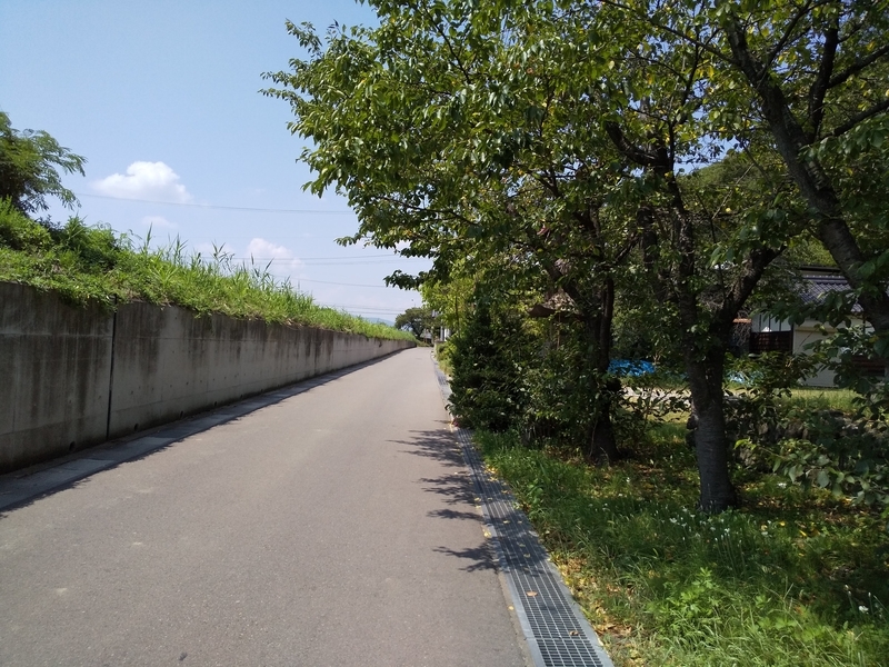 f:id:henrilesidaner:20190818120010j:plain