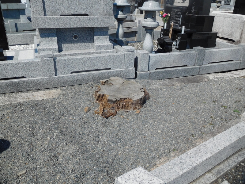 f:id:henrilesidaner:20191202092014j:plain