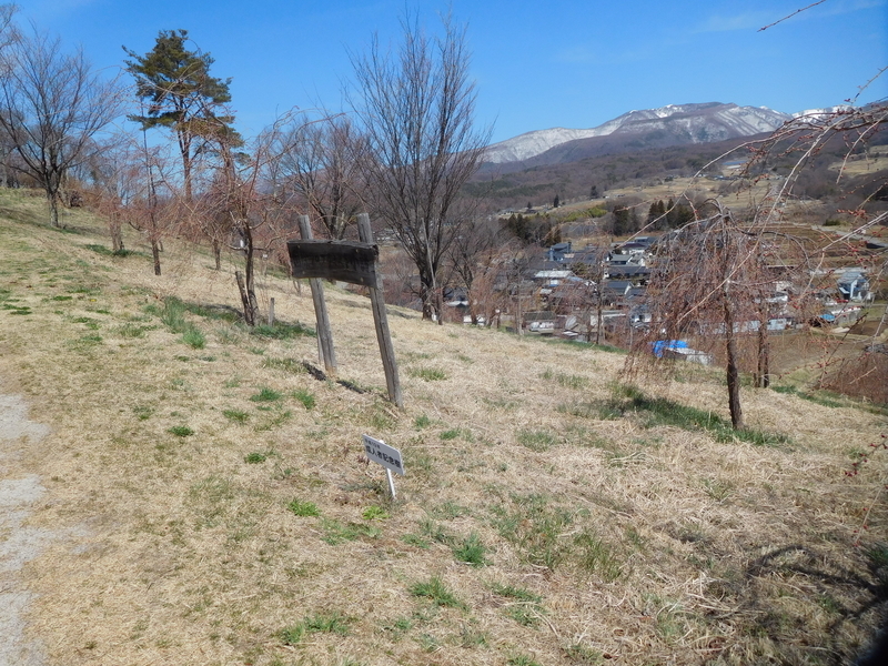 f:id:henrilesidaner:20191211095121j:plain