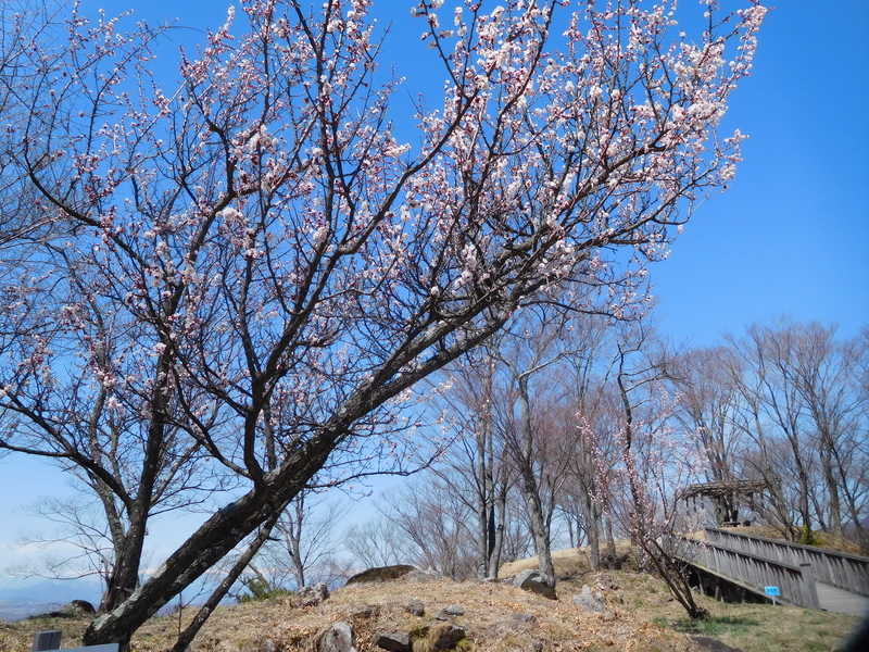 f:id:henrilesidaner:20191211100159j:plain