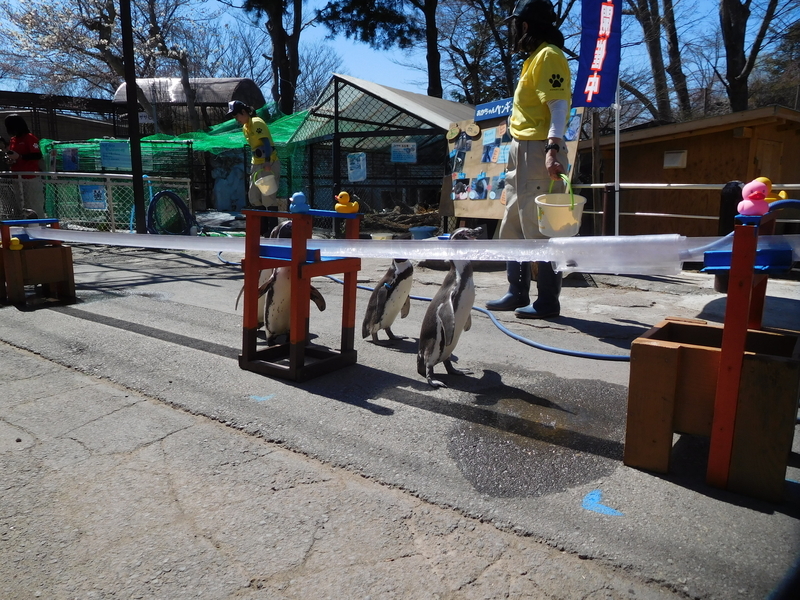 f:id:henrilesidaner:20191211124317j:plain f:id:henrilesidaner:20191211124317j:plain