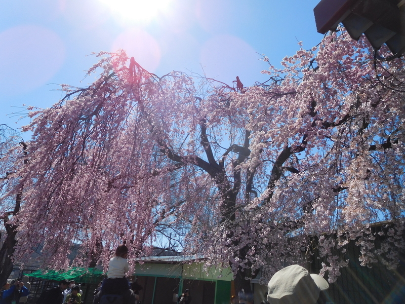 f:id:henrilesidaner:20191211125640j:plain f:id:henrilesidaner:20191211125640j:plain