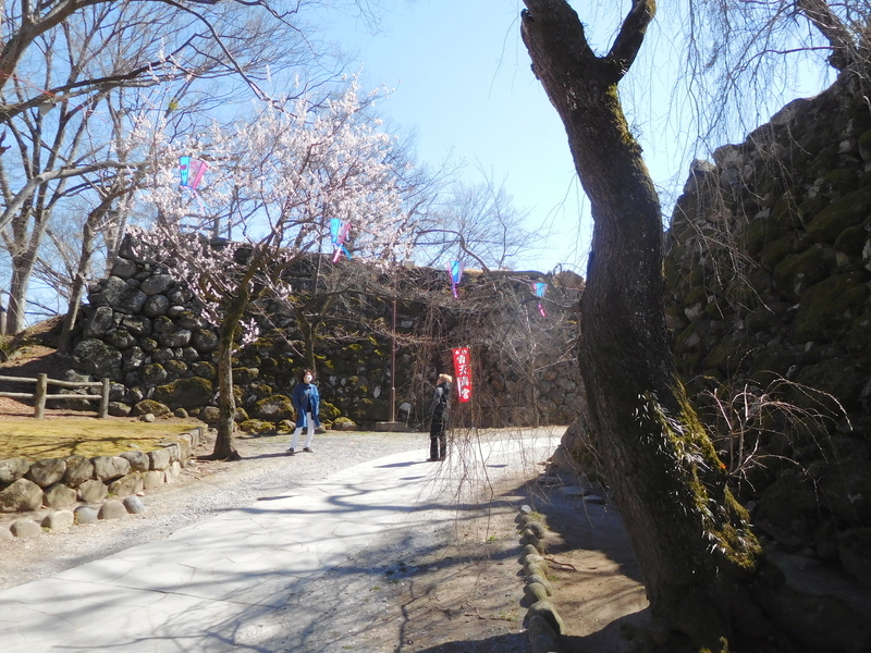 f:id:henrilesidaner:20191211131019j:plain f:id:henrilesidaner:20191211131019j:plain