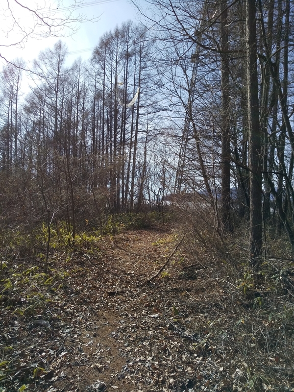 f:id:henrilesidaner:20200207104841j:plain