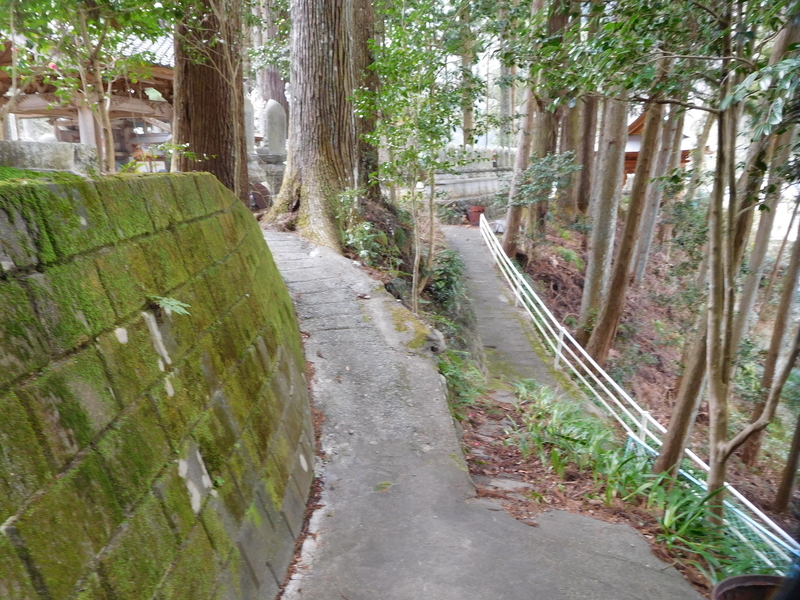 f:id:henrilesidaner:20200314164002j:plain f:id:henrilesidaner:20200314164002j:plain