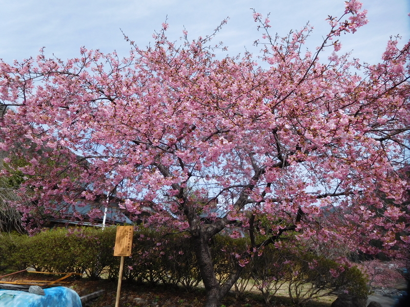 f:id:henrilesidaner:20200314164102j:plain f:id:henrilesidaner:20200314164102j:plain