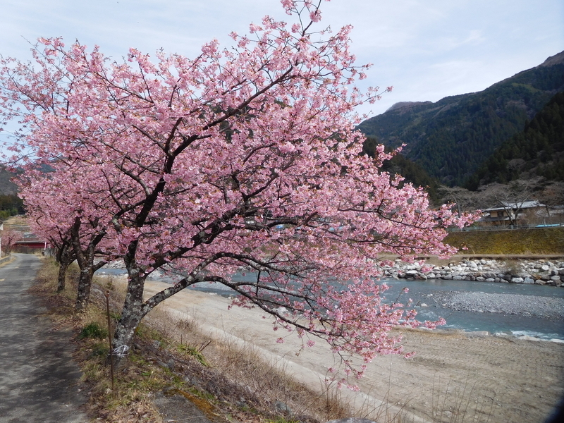 f:id:henrilesidaner:20200314164156j:plain f:id:henrilesidaner:20200314164156j:plain
