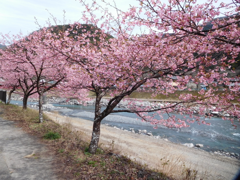 f:id:henrilesidaner:20200314164214j:plain f:id:henrilesidaner:20200314164214j:plain