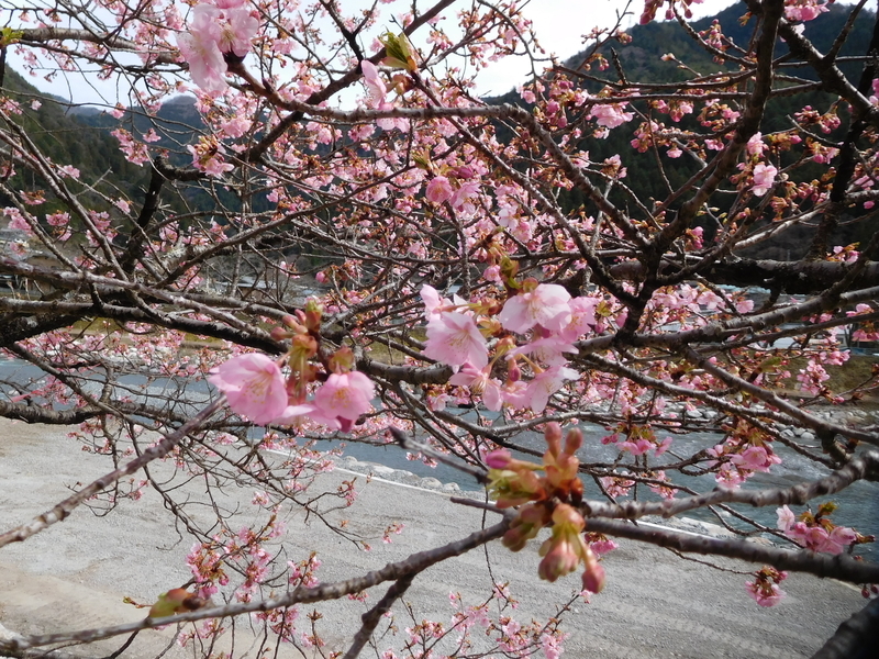 f:id:henrilesidaner:20200314164229j:plain f:id:henrilesidaner:20200314164229j:plain