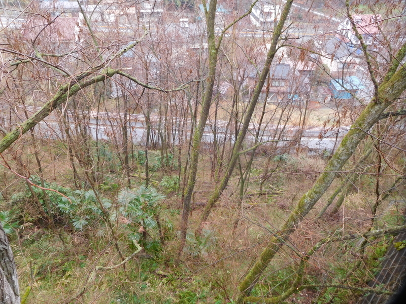 f:id:henrilesidaner:20200314164907j:plain f:id:henrilesidaner:20200314164907j:plain
