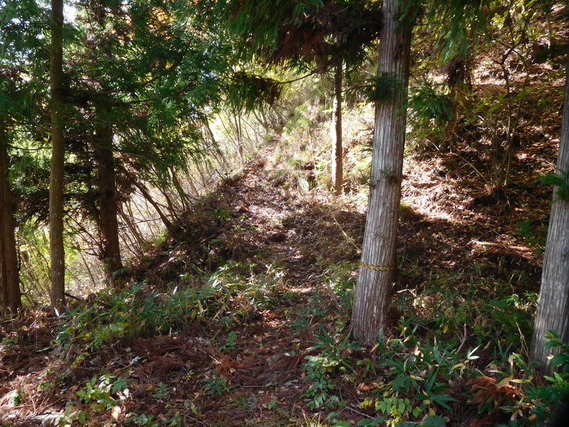 f:id:henrilesidaner:20200630093643j:plain