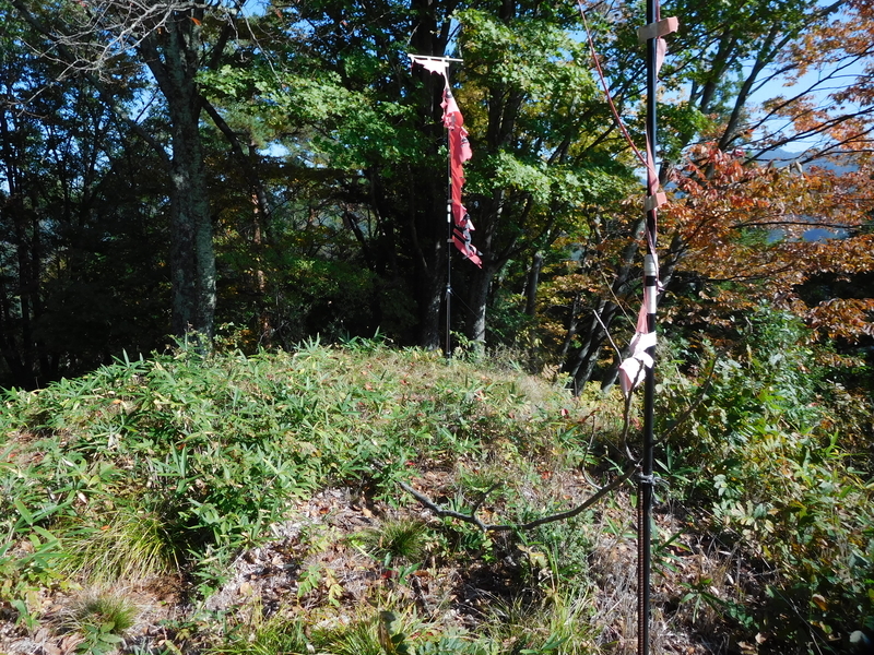 f:id:henrilesidaner:20200630094331j:plain