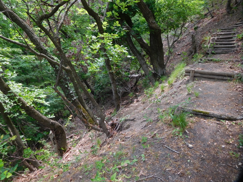 f:id:henrilesidaner:20210121100254j:plain