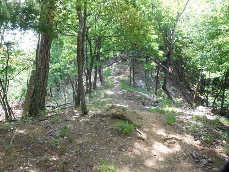 f:id:henrilesidaner:20210121100759j:plain