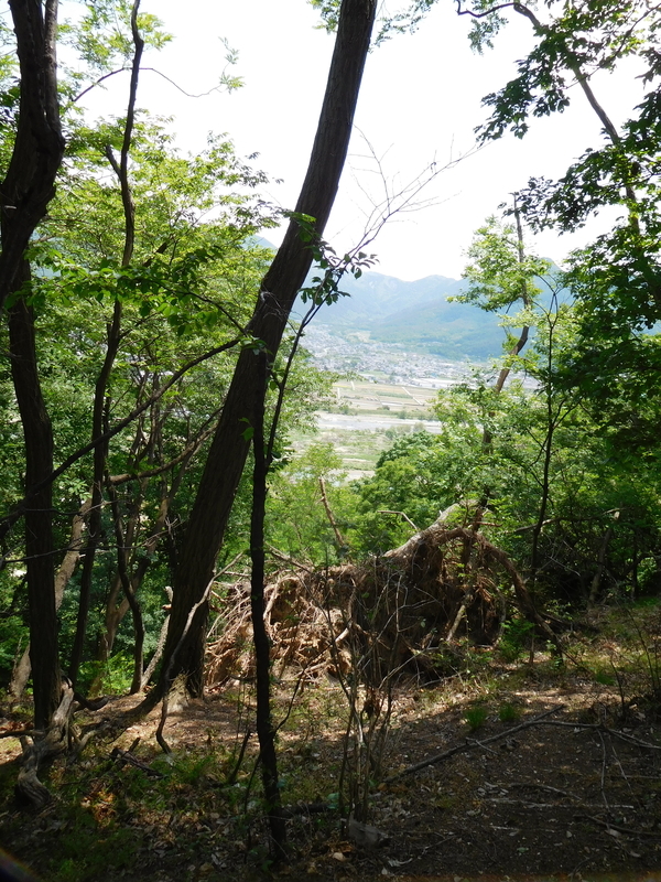 f:id:henrilesidaner:20210121100818j:plain