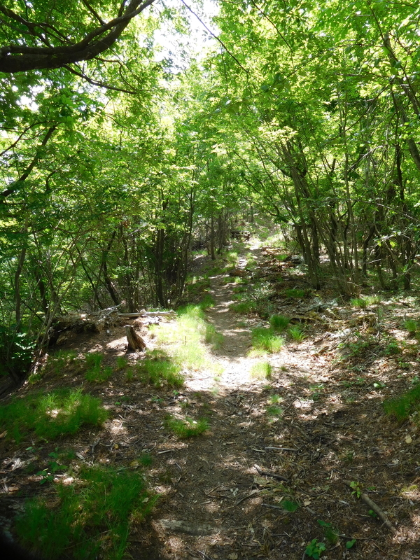 f:id:henrilesidaner:20210121100907j:plain