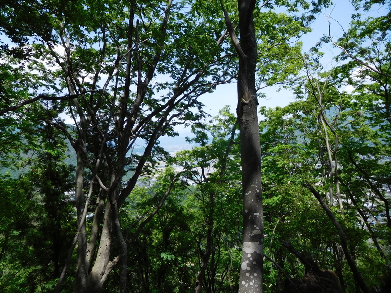 f:id:henrilesidaner:20210121103503j:plain