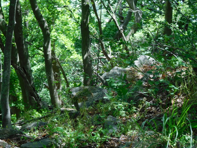 f:id:henrilesidaner:20210121103724j:plain