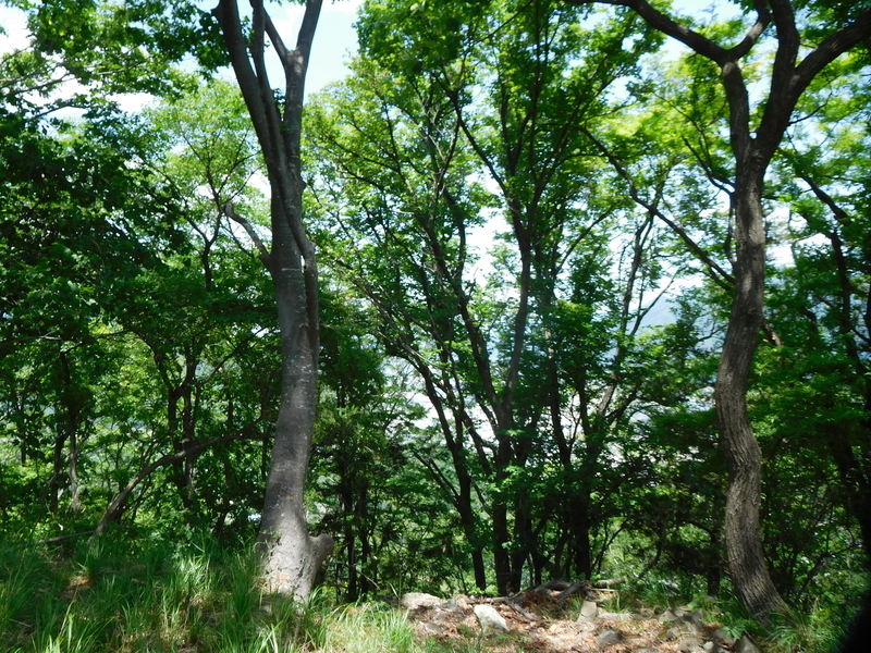f:id:henrilesidaner:20210121103807j:plain