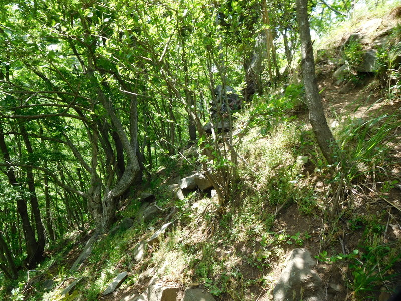 f:id:henrilesidaner:20210121104021j:plain