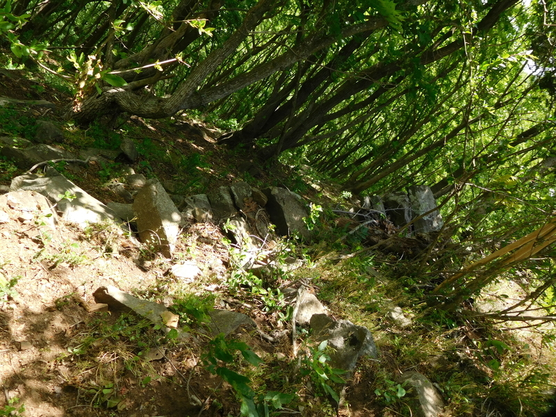 f:id:henrilesidaner:20210121104029j:plain