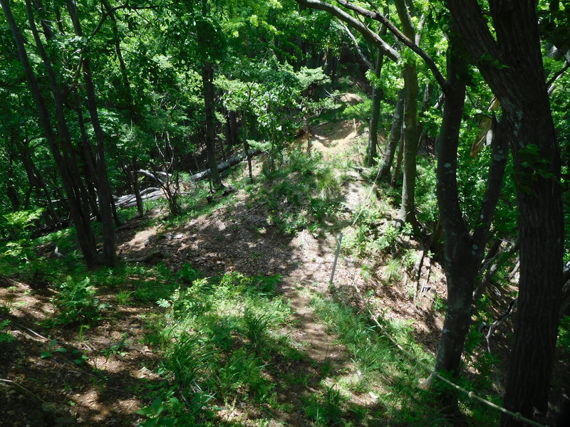 f:id:henrilesidaner:20210121104246j:plain