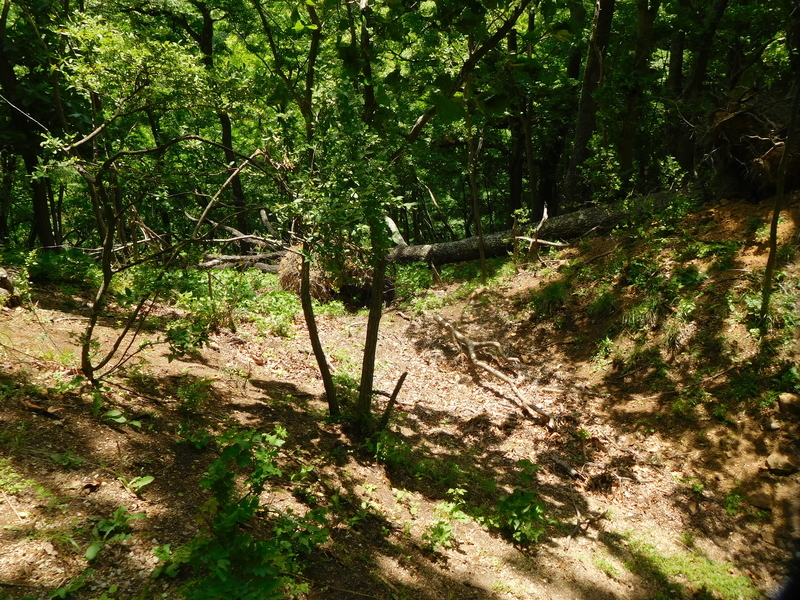 f:id:henrilesidaner:20210121104425j:plain
