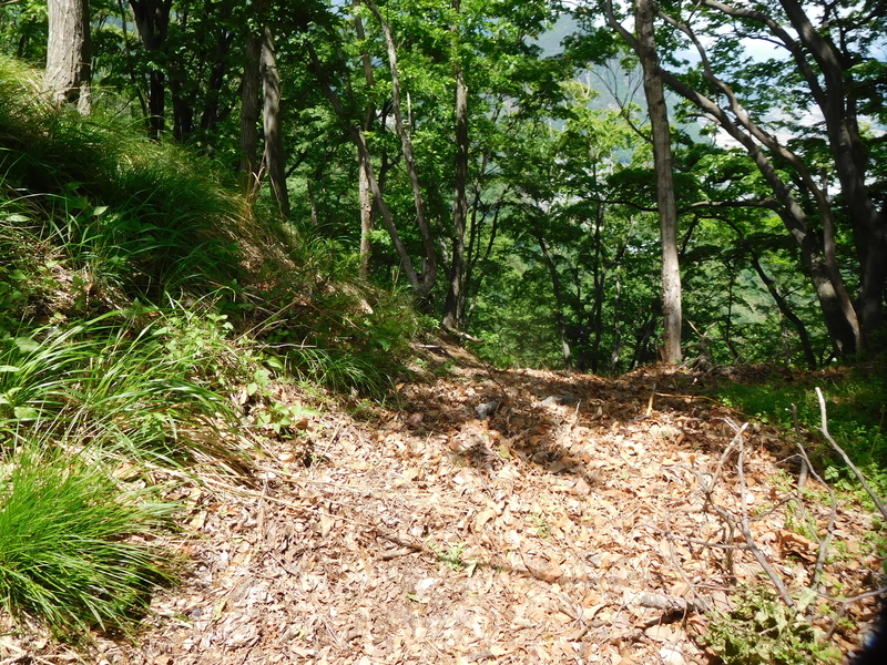 f:id:henrilesidaner:20210121104521j:plain