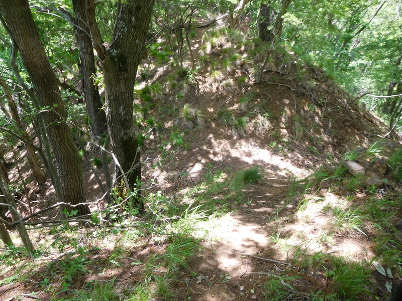 f:id:henrilesidaner:20210121104615j:plain