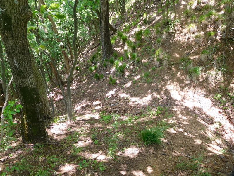 f:id:henrilesidaner:20210121104626j:plain