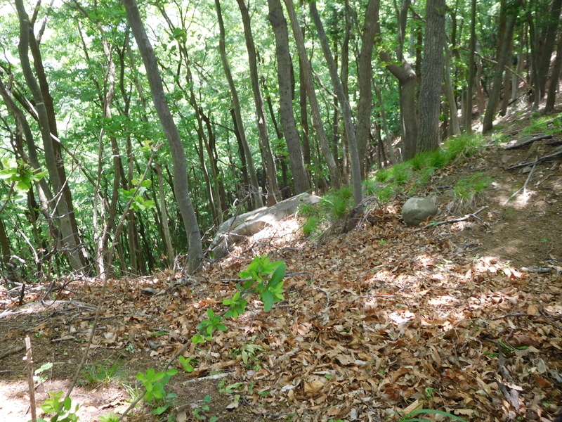 f:id:henrilesidaner:20210121104839j:plain