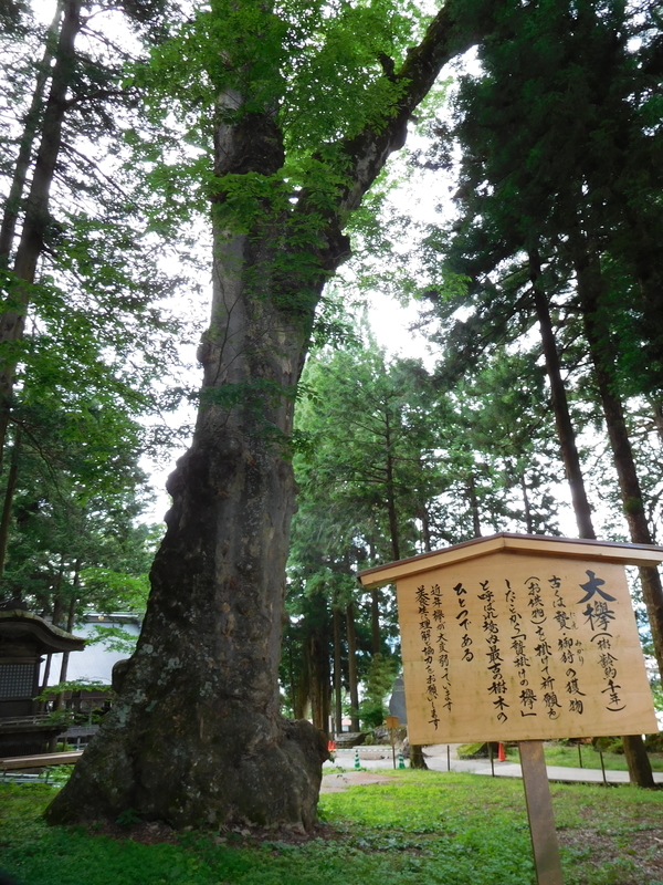 f:id:henrilesidaner:20210224142914j:plain f:id:henrilesidaner:20210224142914j:plain
