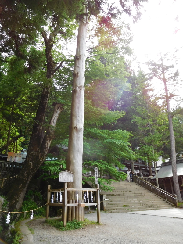 f:id:henrilesidaner:20210224143253j:plain f:id:henrilesidaner:20210224143253j:plain