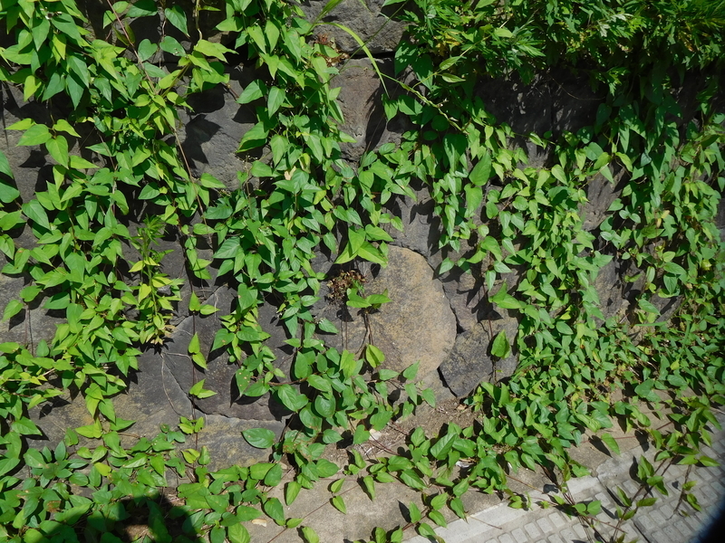 f:id:henrilesidaner:20210315133332j:plain