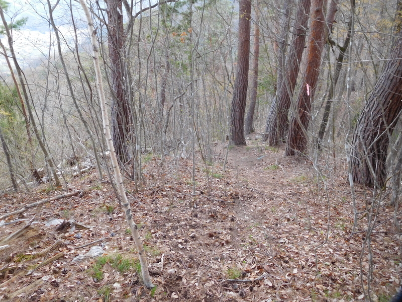 f:id:henrilesidaner:20211204143037j:plain