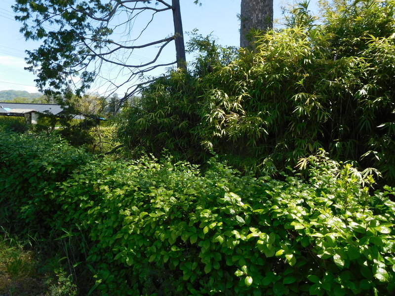 f:id:henrilesidaner:20220103101223j:plain