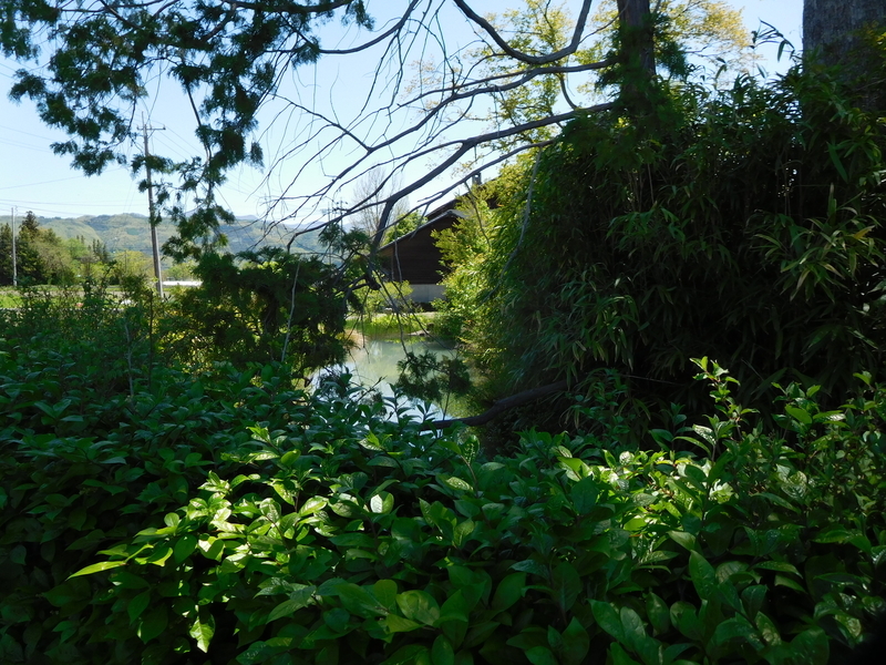f:id:henrilesidaner:20220103101235j:plain