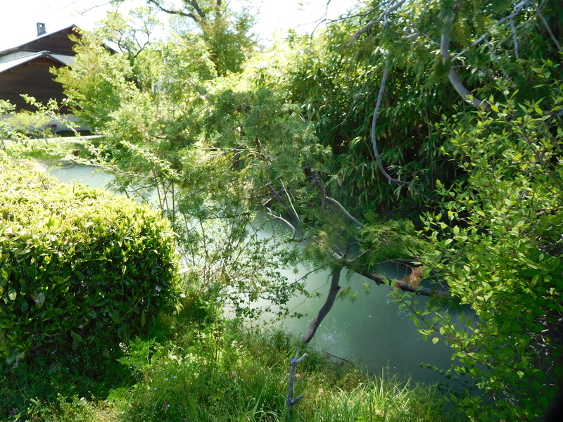 f:id:henrilesidaner:20220103101256j:plain